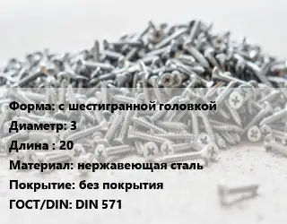 Шуруп с шестигранной головкой 3х20 нержавеющая сталь без покрытия ГОСТ: DIN 571